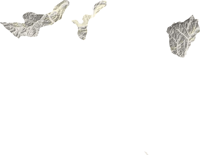 兵團(tuán)托云牧場(chǎng)地形圖