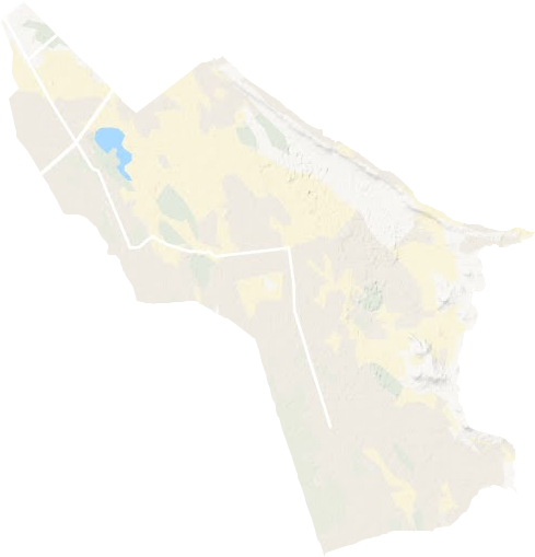 地區一農場地形圖
