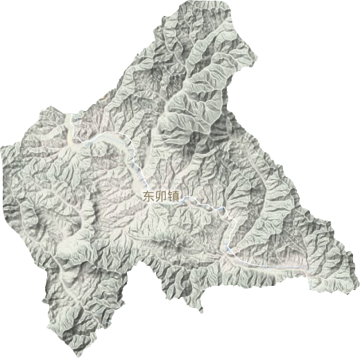 東卯鎮(zhèn)地形圖