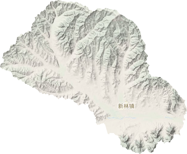 新林鎮(zhèn)地形圖