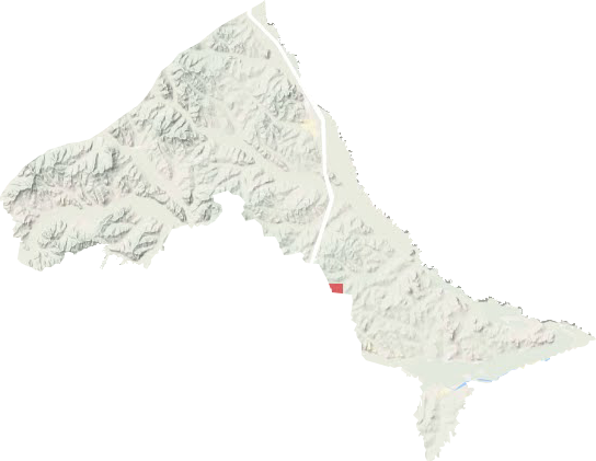 新林鎮地形圖