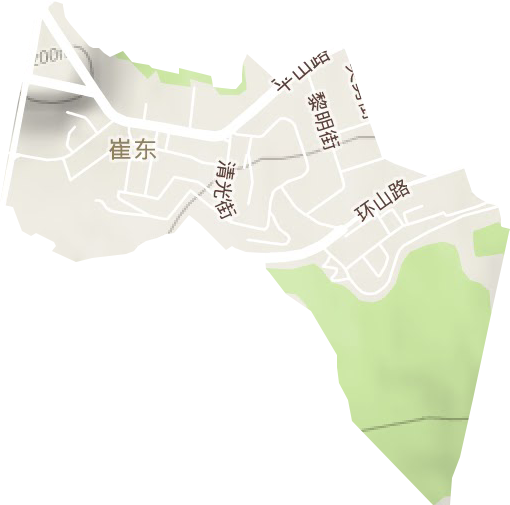 崔東街道地形圖